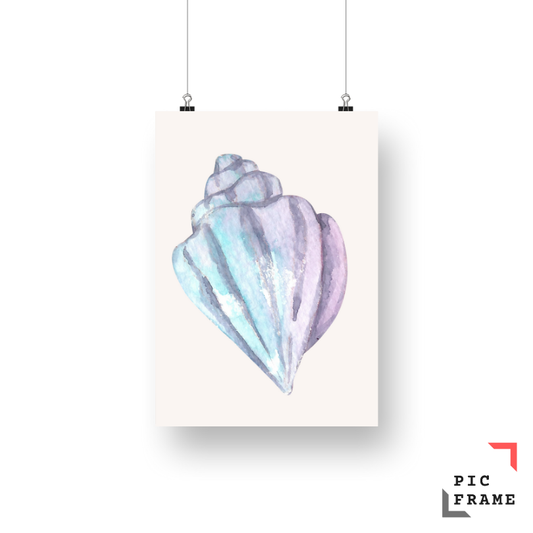 Shell in color 1