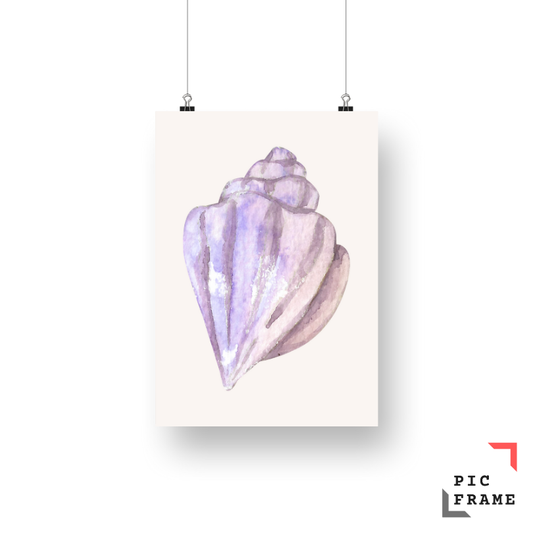 Shell in color 3