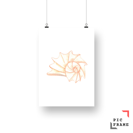 Shell in peach shade