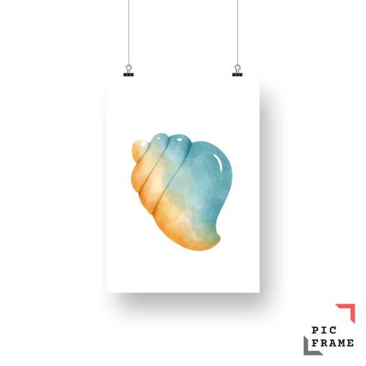 Shell in shades