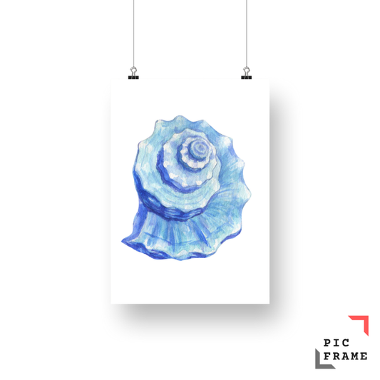 Shell watercolor 2
