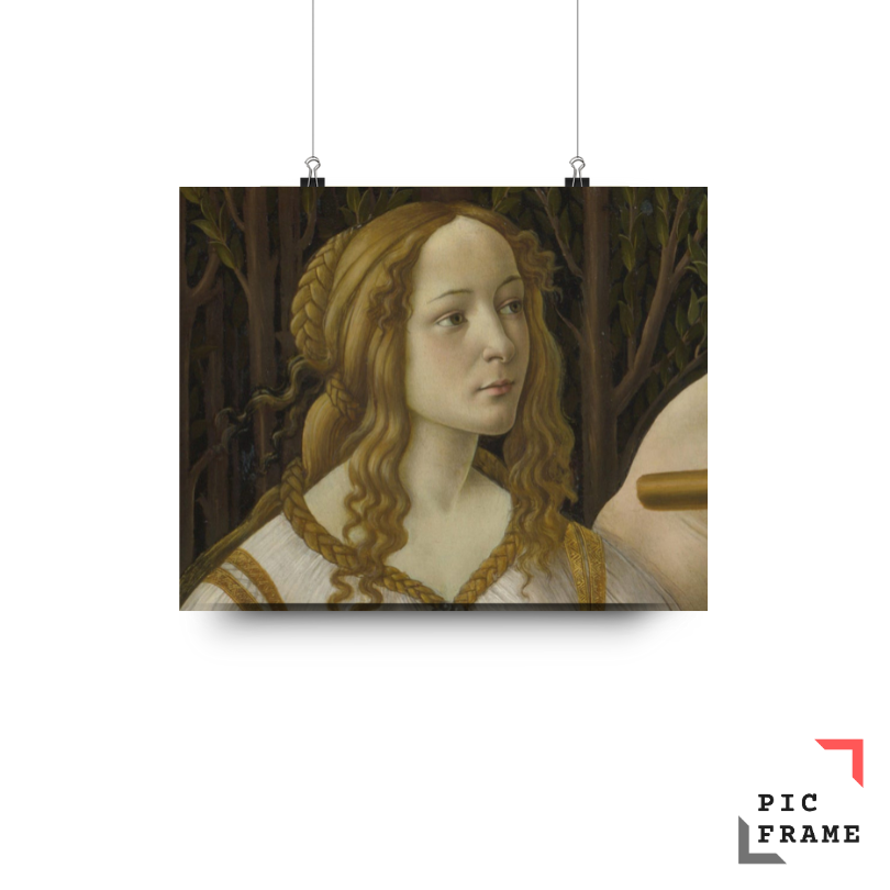 Simonetta Vespucci
