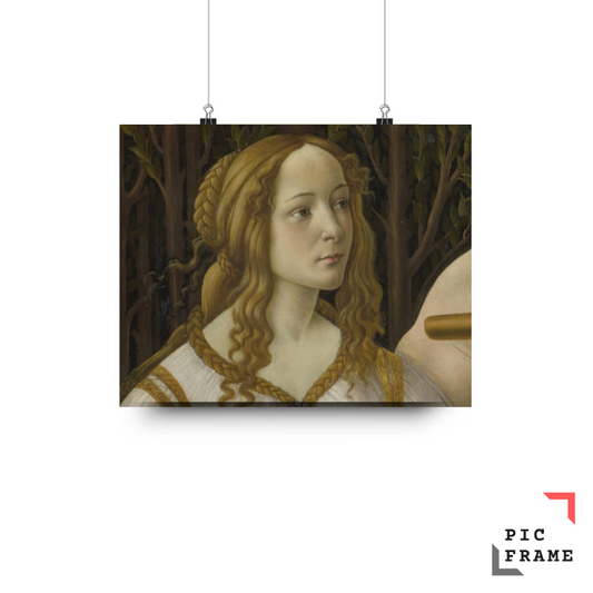 Simonetta Vespucci