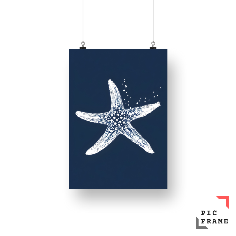 Starfish 1