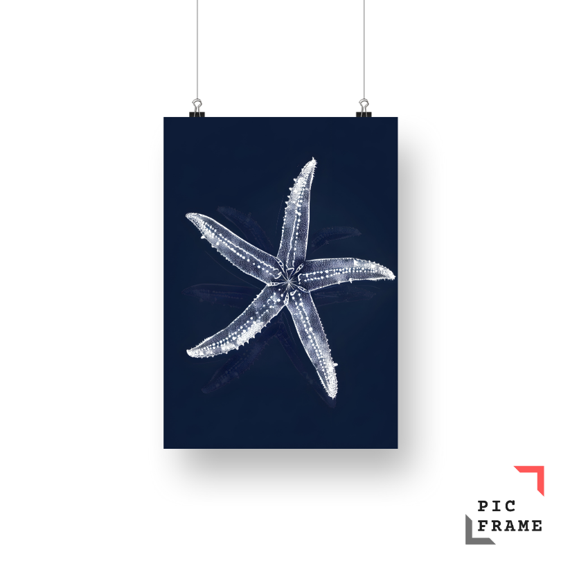 Starfish 2