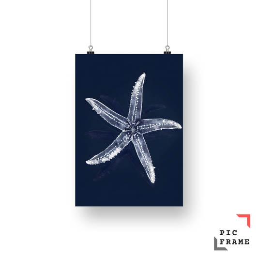 Starfish 2