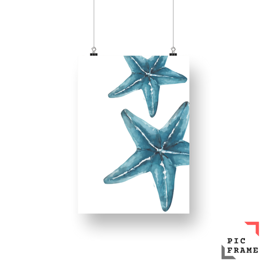 Starfish 4