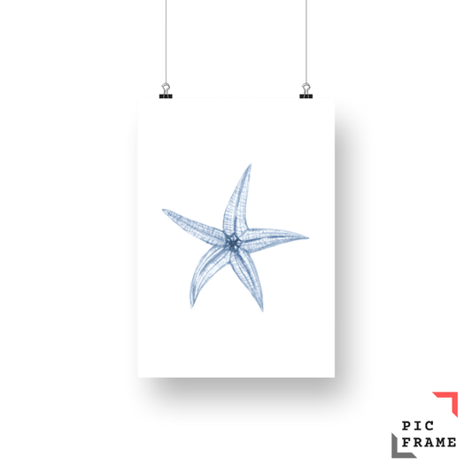 Starfish 5