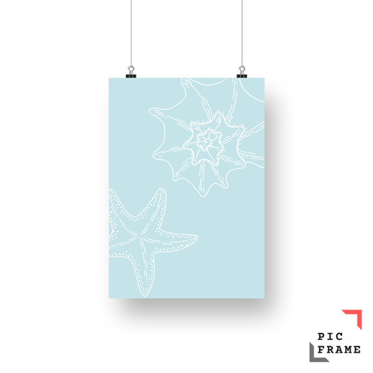 Starfish Light Blue 1