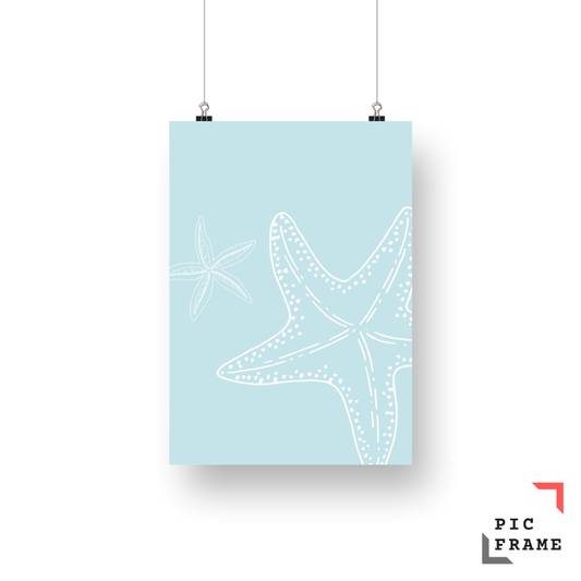 Starfish Light Blue 2