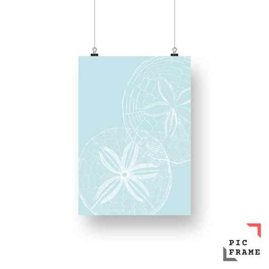 Starfish Light Blue 3