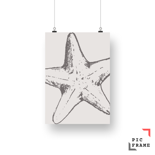 Starfish in Grey