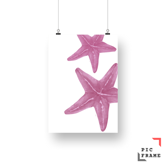 Starfish in Pink