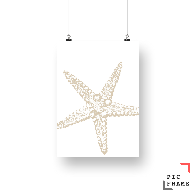 Starfish in Sand 1