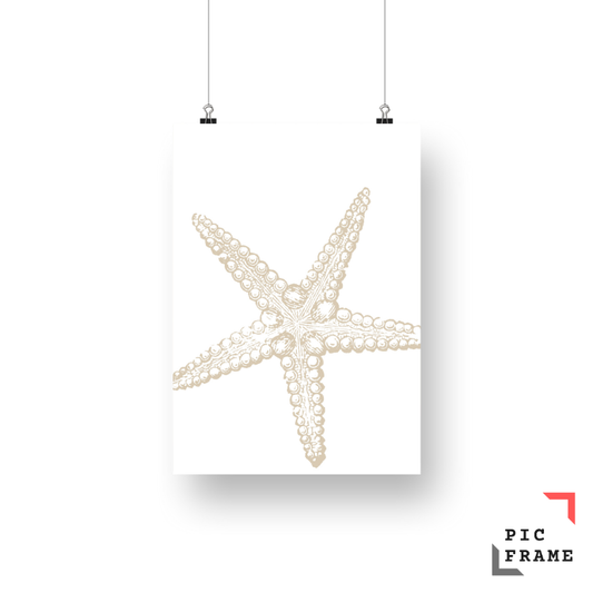 Starfish in Sand 1