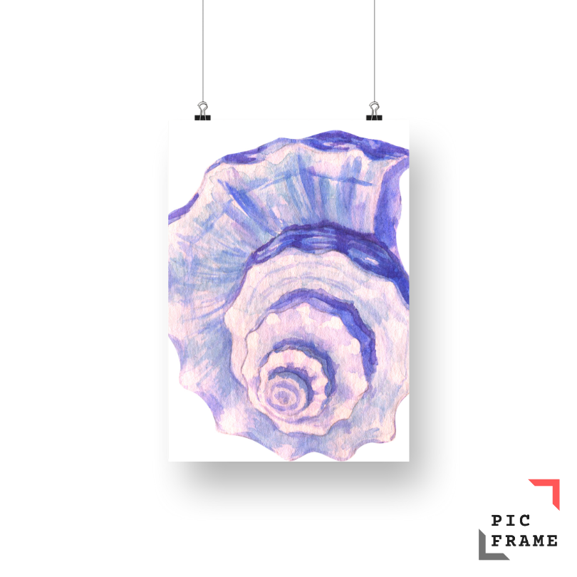 Watercolor shell 2
