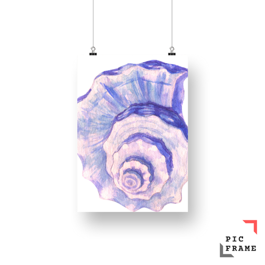 Watercolor shell 2