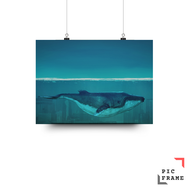 Whale in Blue