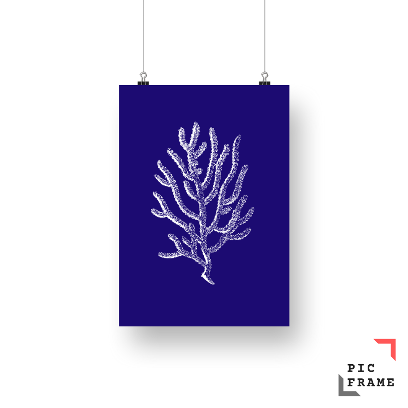 White ink Coral 1