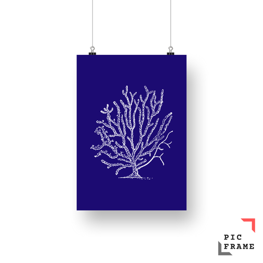 White ink Coral 3